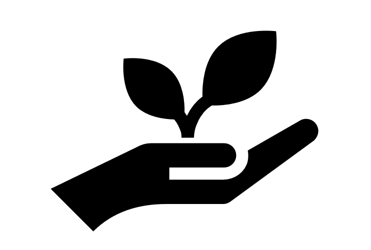 Como aproveitar as oportunidades na Economia Verde?