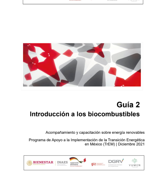 Guía 2: Introducción a los biocombustibles