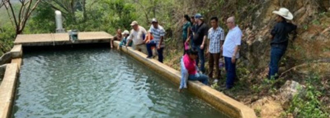 Cooperativa Mixta de Servicios de Energía Eléctrica Rio Claro