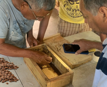 Energía Cooperativa y Sostenibilidad en Nano y Microempresas: el caso de la Cafetería Baaxal