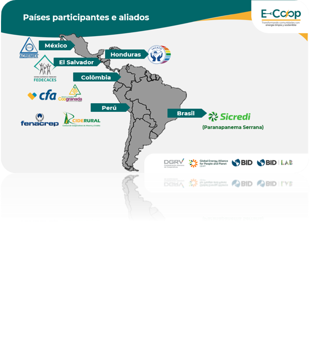 Executores e financiadores