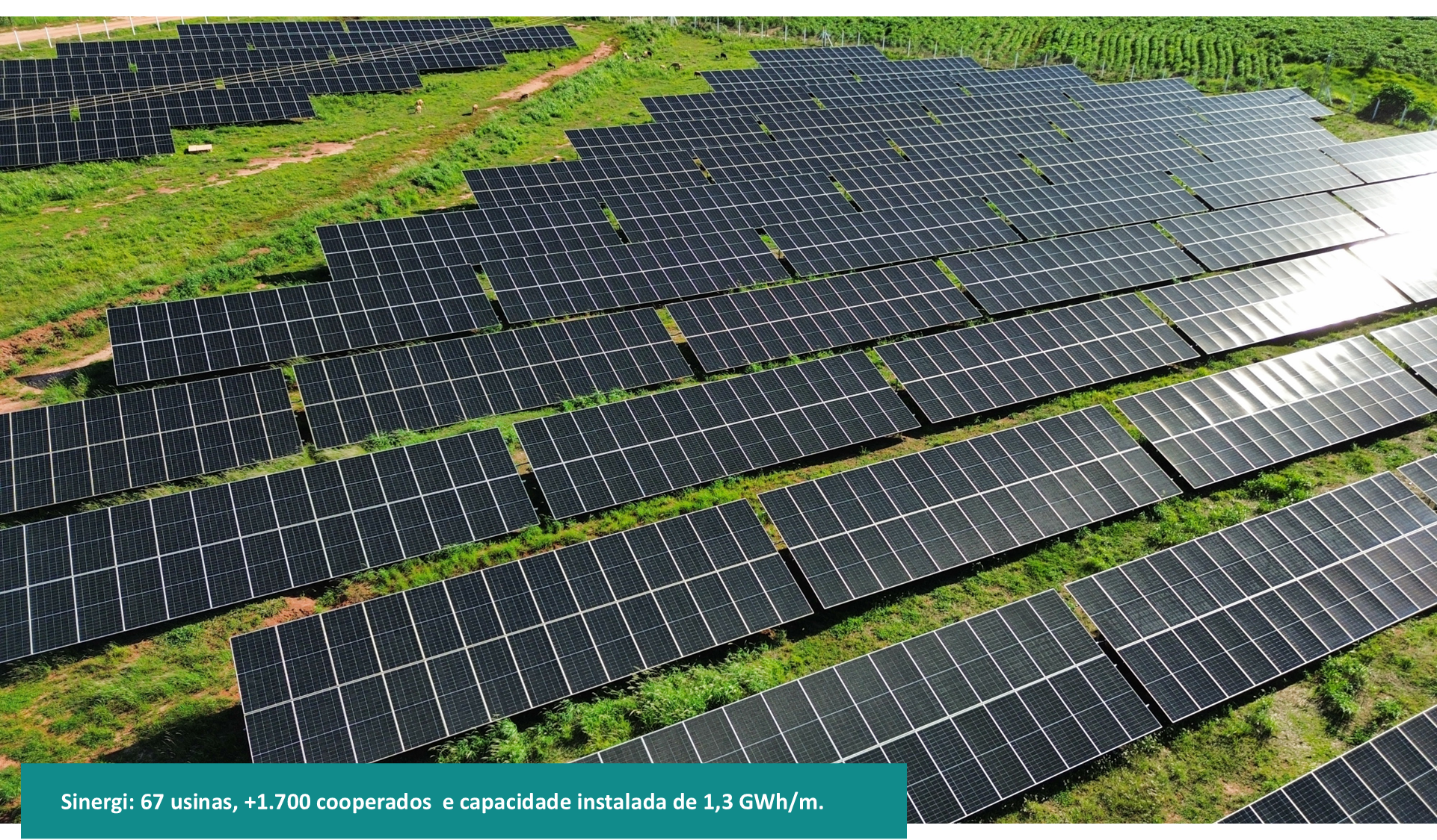 Iniciativa E-coop – Teste 2