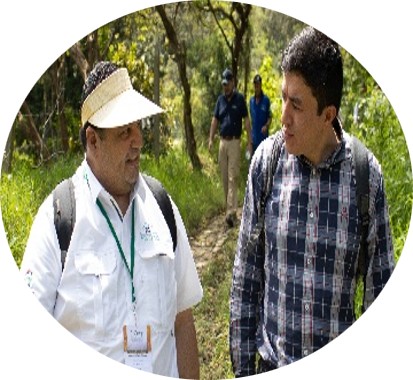 Aprendizados e disseminação